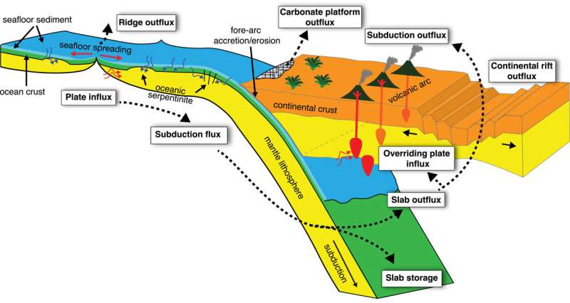 Schematic block diagram outlining plate tectonic carbon reservoirs and fluxes in our model. Credit: Geochemistry, Geophysics, Geosystems (2024). DOI: 10.1029/2024GC011713 A new view of deep earth's carbon emissions