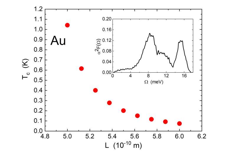 Predicted dependence of the superconducting critical temperature of gold ultra-thin films as a function of the film thickness. As the film thickness shrinks, the temperature at which gold becomes superconducting is experimentally measurable and matches that of well-known superconducting elements such as aluminum. Credit: A. Zaccone and G. Ummarino Can the noble metals become superconductors?