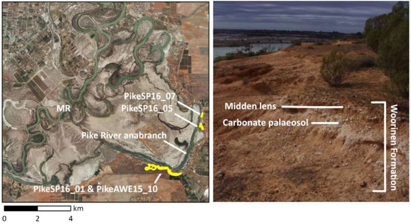 The context of the Pike River cliff-top sites and an example of an eroding midden lens contained within Woorinen Formation sediments above a carbonate palaeosol (MR = Murray River). Credit: Radiocarbon (2024). DOI: 10.1017/RDC.2024.99 Cliff-top sites preserving ancient Aboriginal heritage on the River Murray