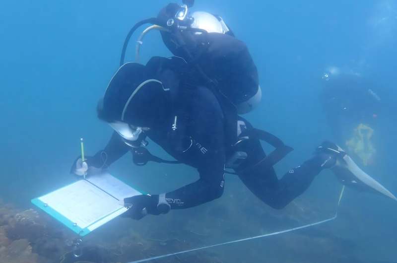 A diver surveying Magnetic Island in Queensland. Credit: Maya Srinivasan Coral reef fish running out of time to recover at Great Barrier Reef islands