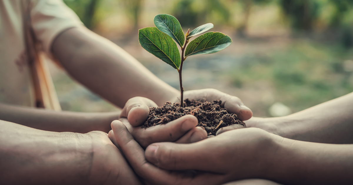 Simple Ways to Celebrate Earth Day thumbnail