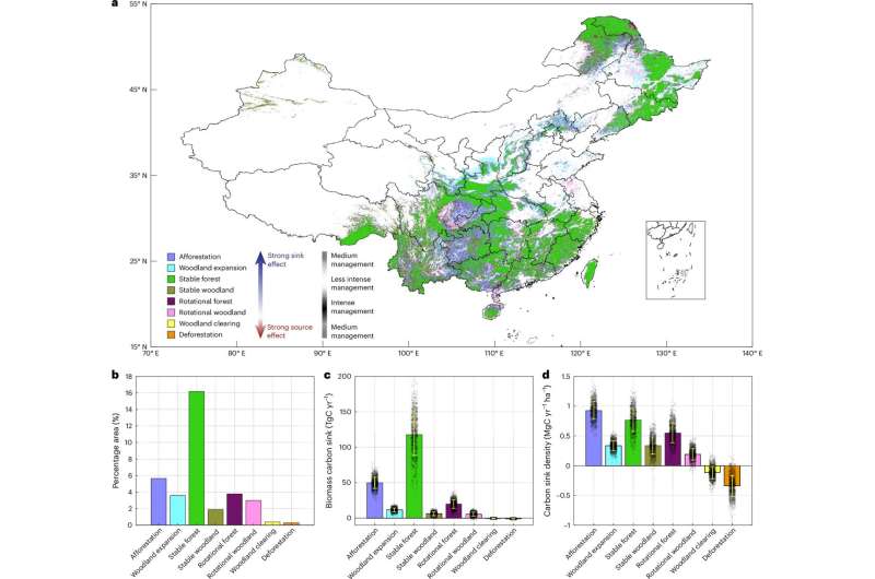 Satellite-derived woody biomass carbon sink driven by different land management activities during 2001–2020. Credit: Nature Geoscience (2024). DOI: 10.1038/s41561-024-01569-0 Researchers verify China's claim of land management increases in forestation to sequester carbon