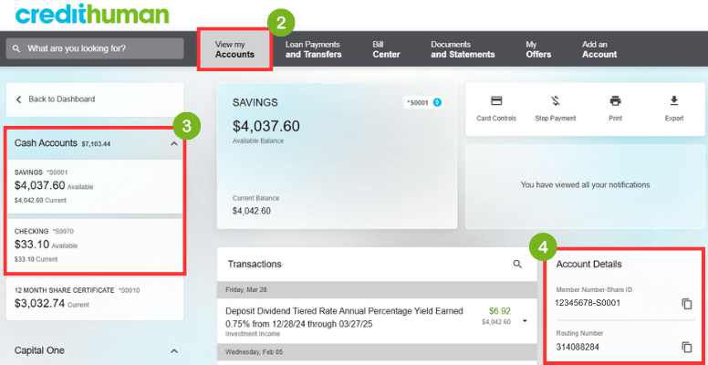 Screenshot of digital banking dashboard highlighting account detail information